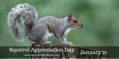 Name:  Squirrel-Appreciation-Day-January-211-e1484414611431.jpg
Views: 88
Size:  16.8 KB